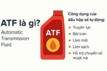 Dầu nhớt hộp số tự động (ATF) là gì? Tìm hiểu vai trò, dấu hiệu cần thay và lưu ý khi sử dụng